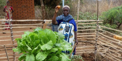 Das Bild zeigt eine Frau bei der Gemüseernte in einem kenianischen Dorf.