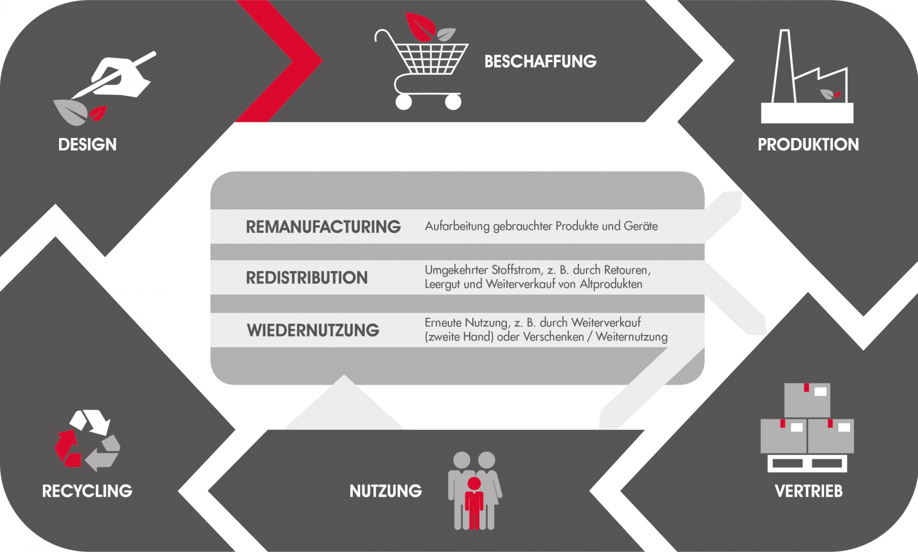 Die Grafik zeigt die Phasen des Kreislaufs einer zirkulären Wirtschaft: Design, Beschaffung, Produktion, Vertrieb, Nutzung  und Recycling.