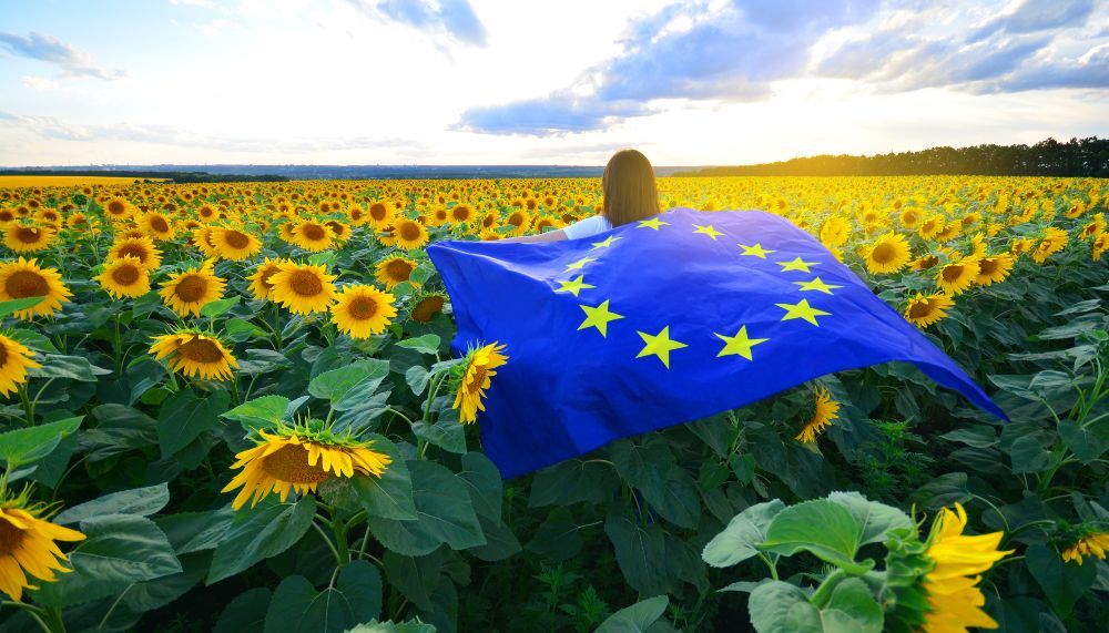 Mensch in Sonnenblumenfeld mit Europafahne