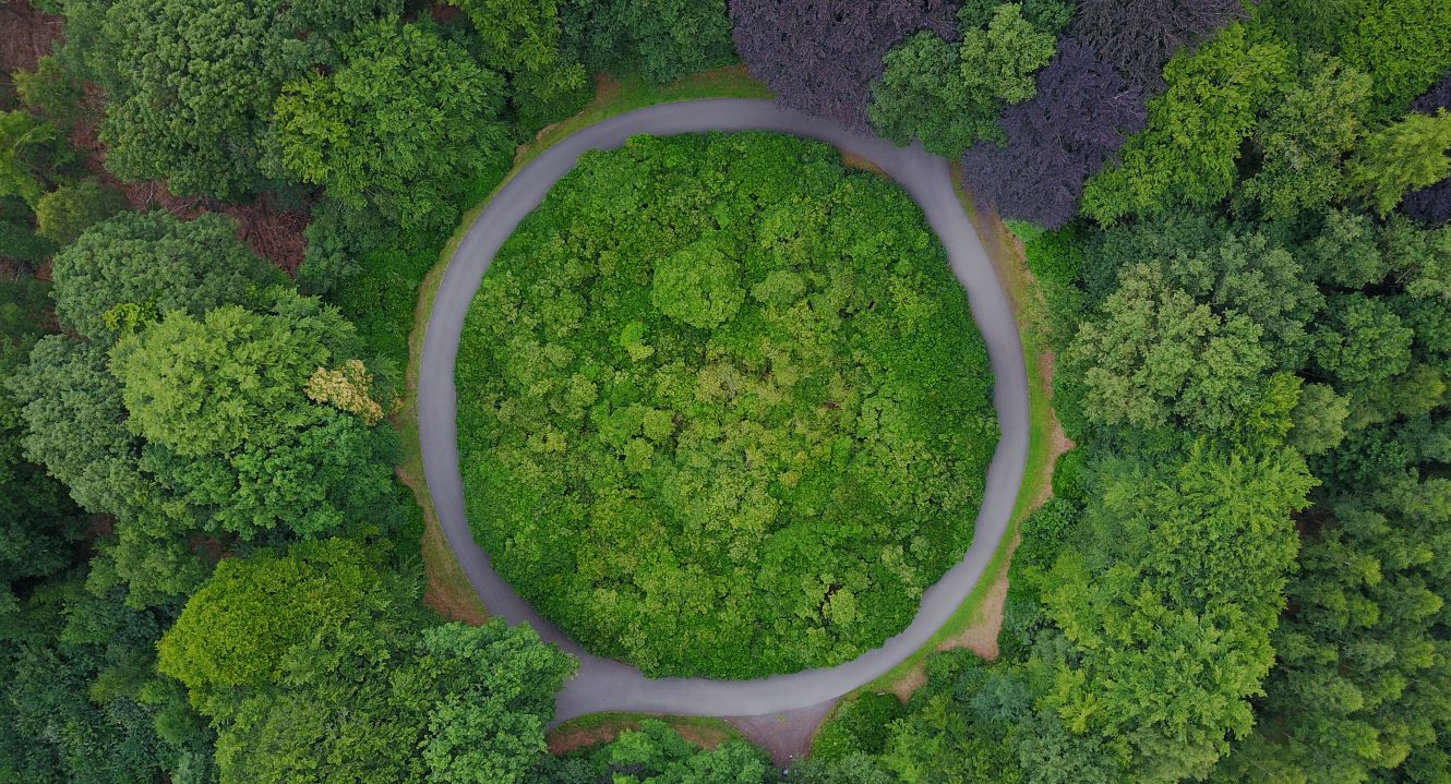 Das Bild zeigt einen Fluss, der durch eine grüne, dünn besiedelte Gegend fließt.