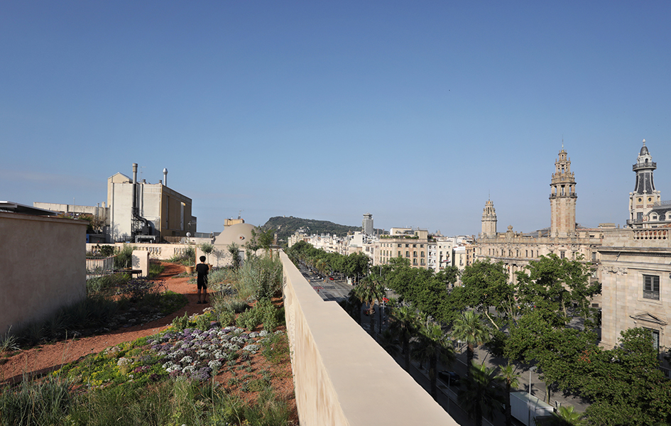 Foto des neuen Dachaufbaus der denkmalgeschützen Proxos d‘en Xifré in Barcelona. Man sieht ein bepflanztes Dach, im Hintergrund steht eine Person.