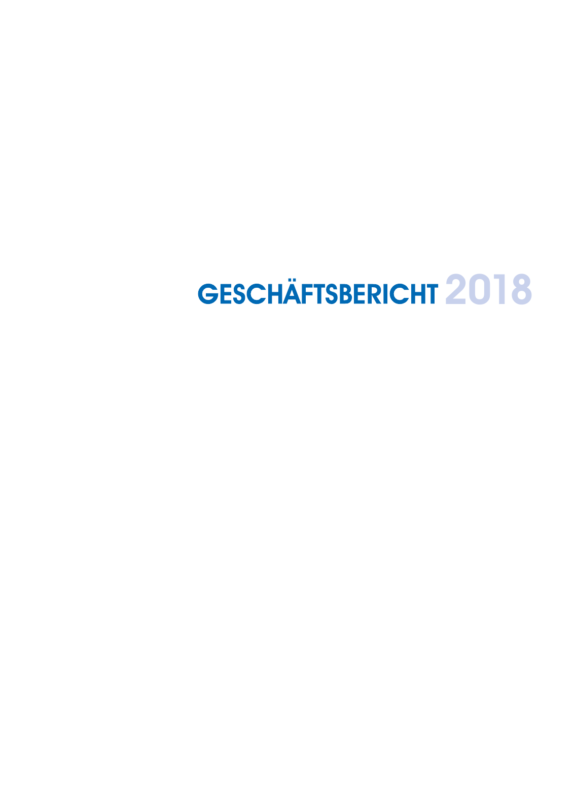 Vorschau Geschäftsbericht 2018 Seite 3